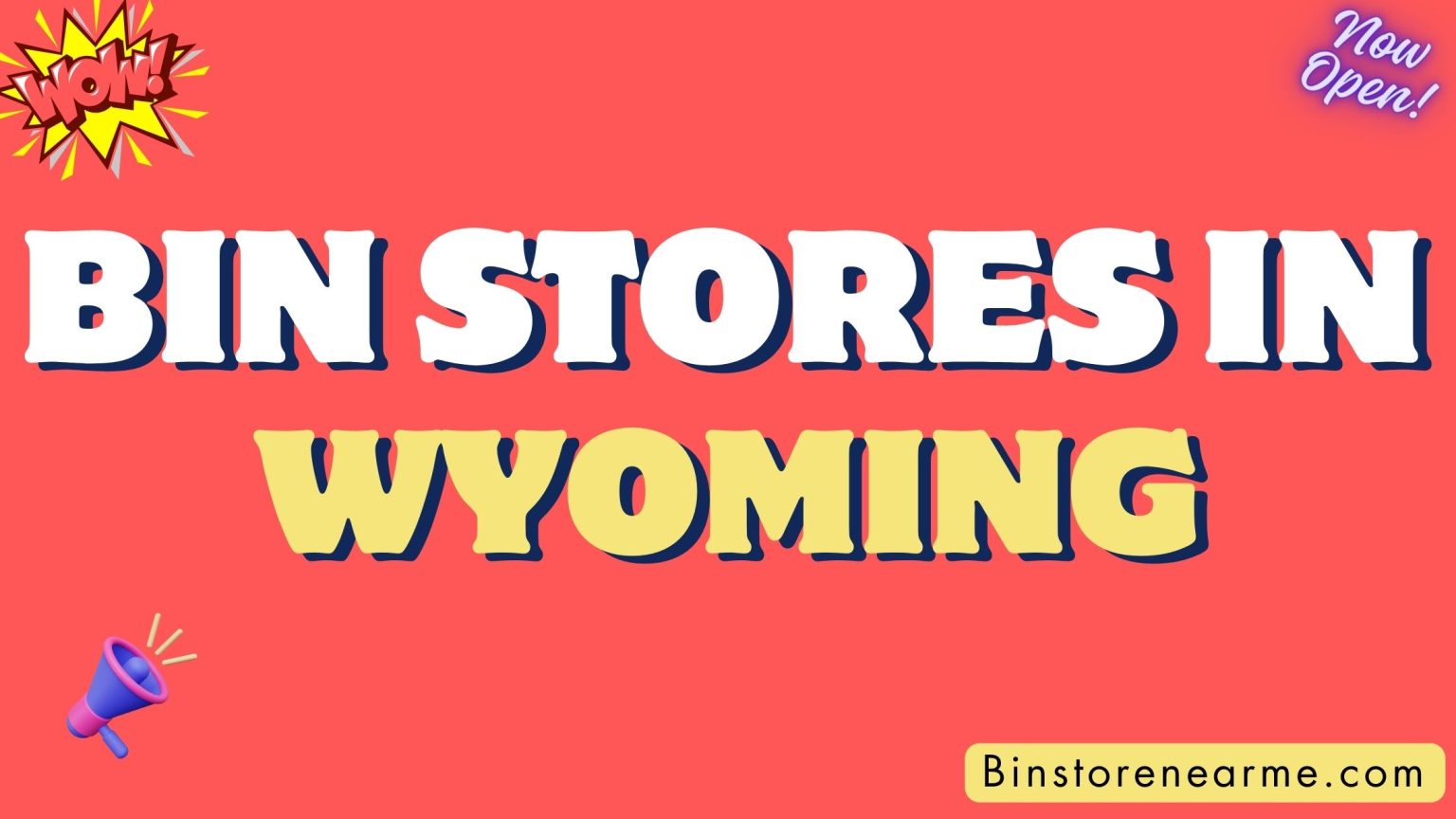 Bin Stores in Wyoming