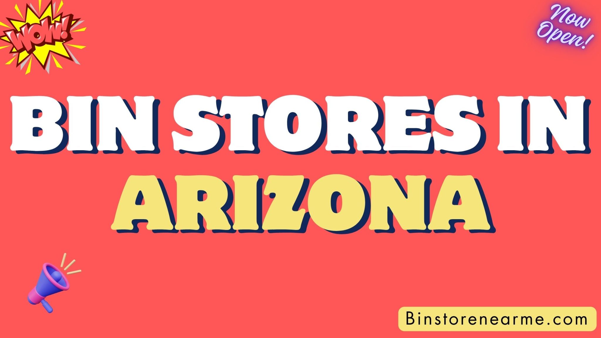 List of Bin Stores in Arizona Bin Store Near Me
