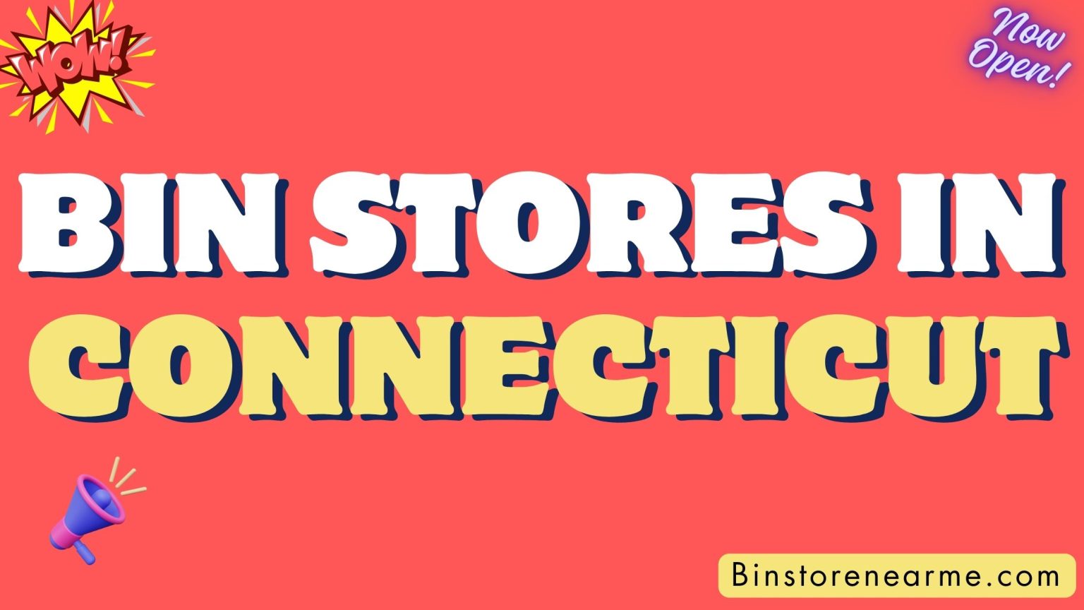 Bin stores in Connecticut