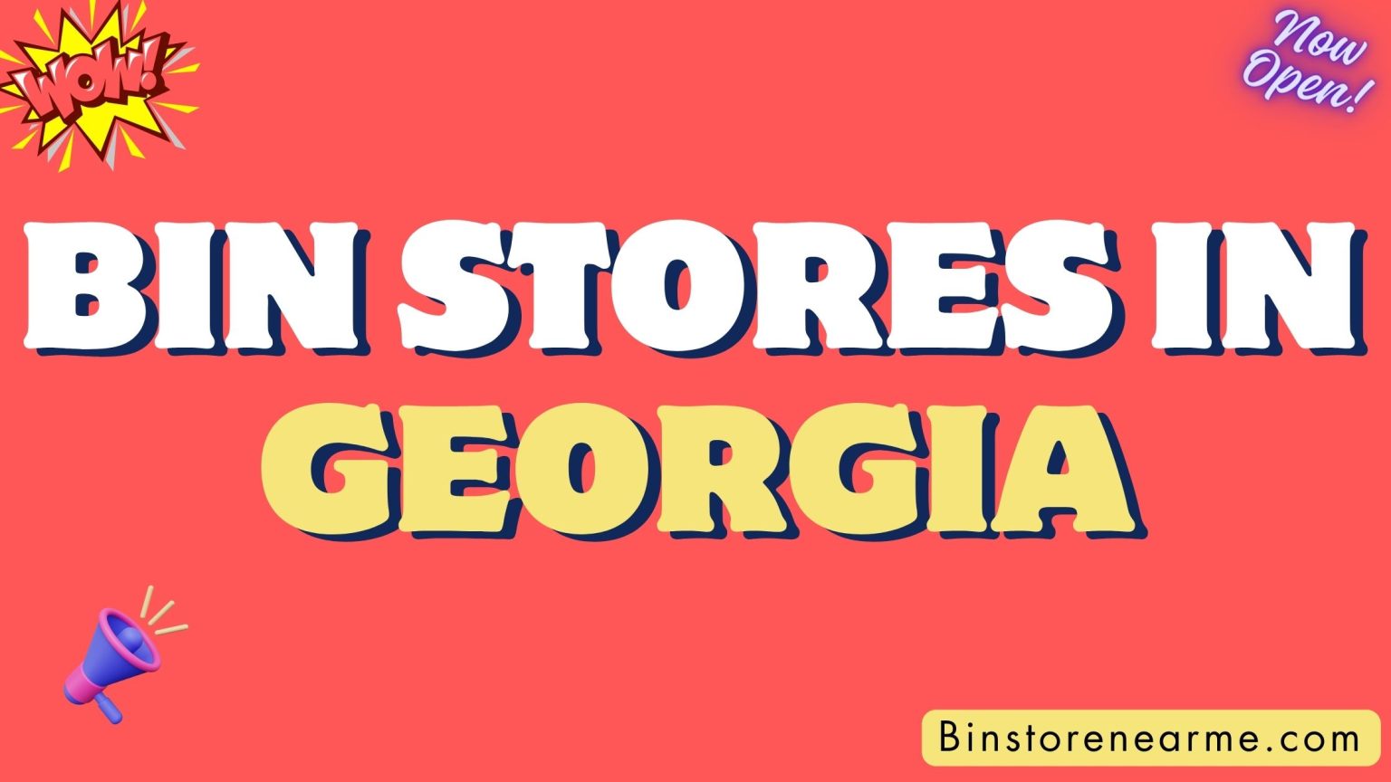 Bin stores in Georgia