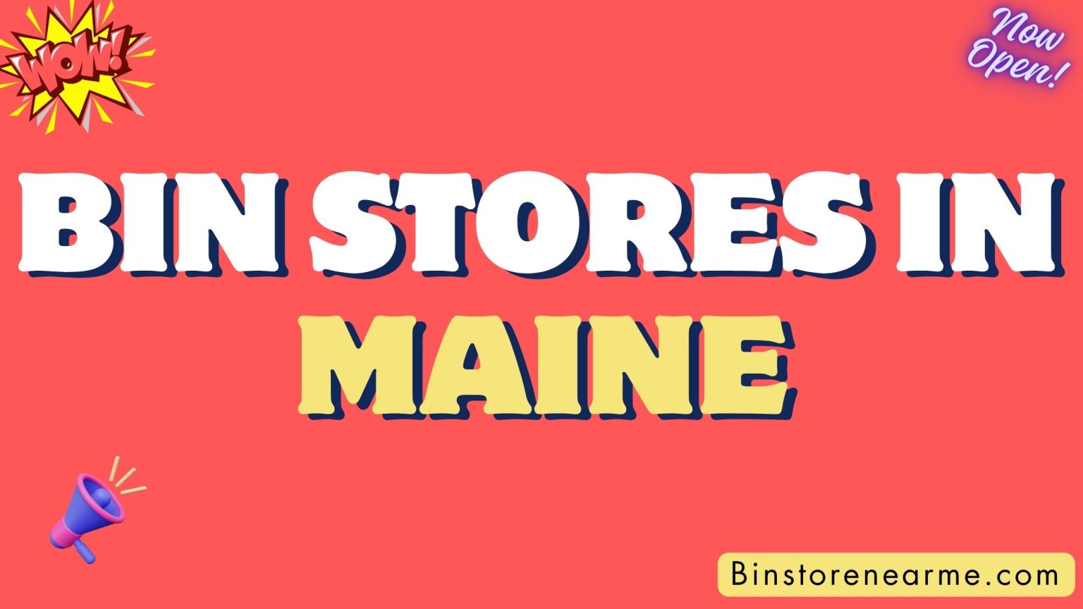 Bin stores in Maine