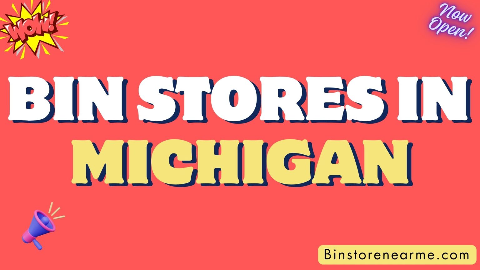 Bin stores in Michigan