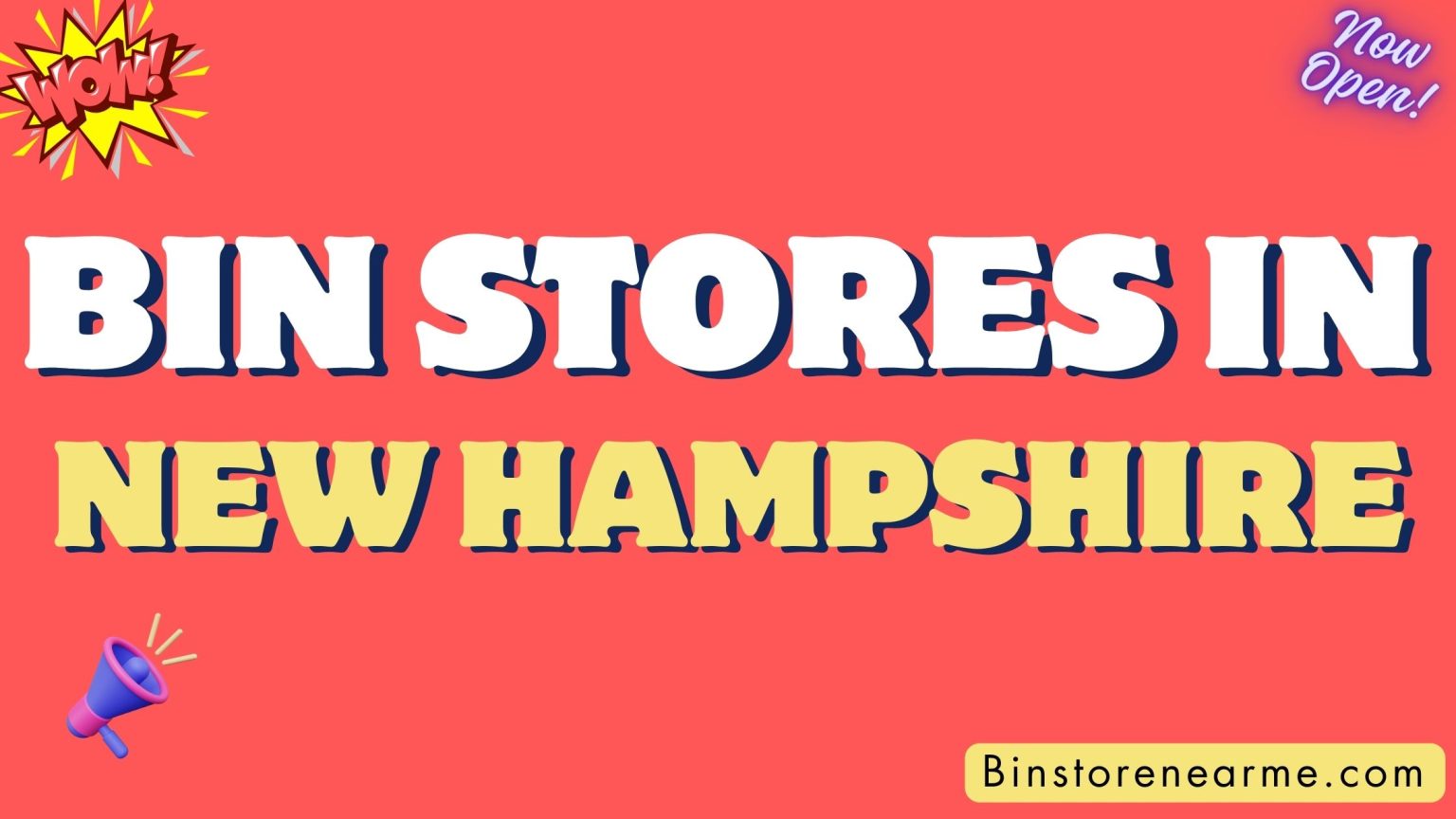 Bin stores in New Hampshire