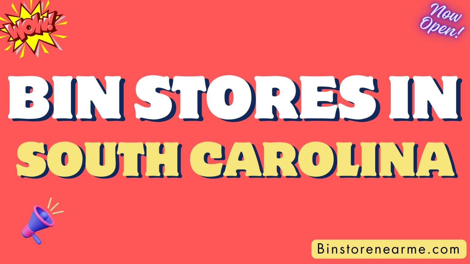 Bin stores in South Carolina